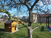 Výukový program Ptáčci v zimě